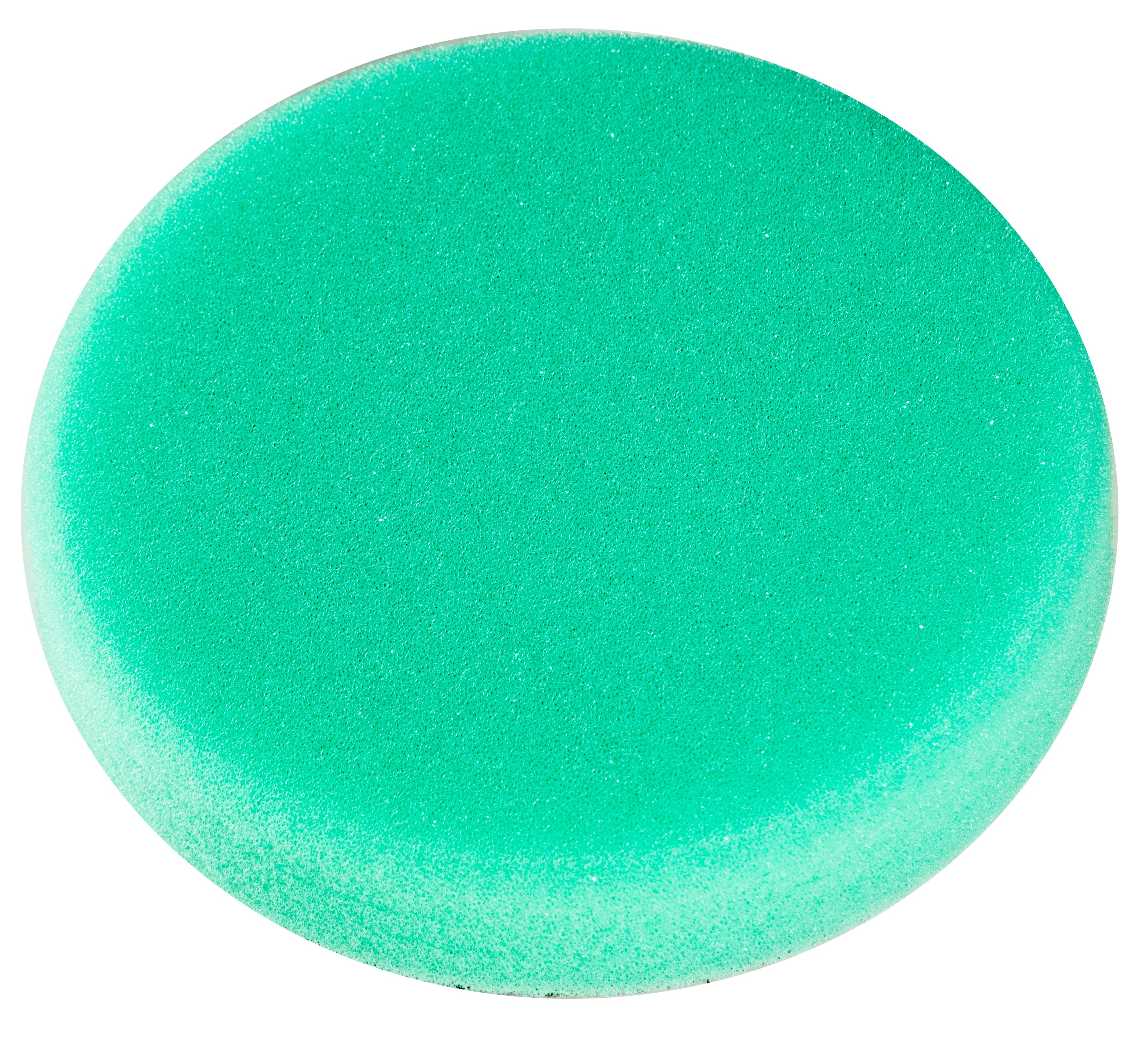 Green Foam Applicator