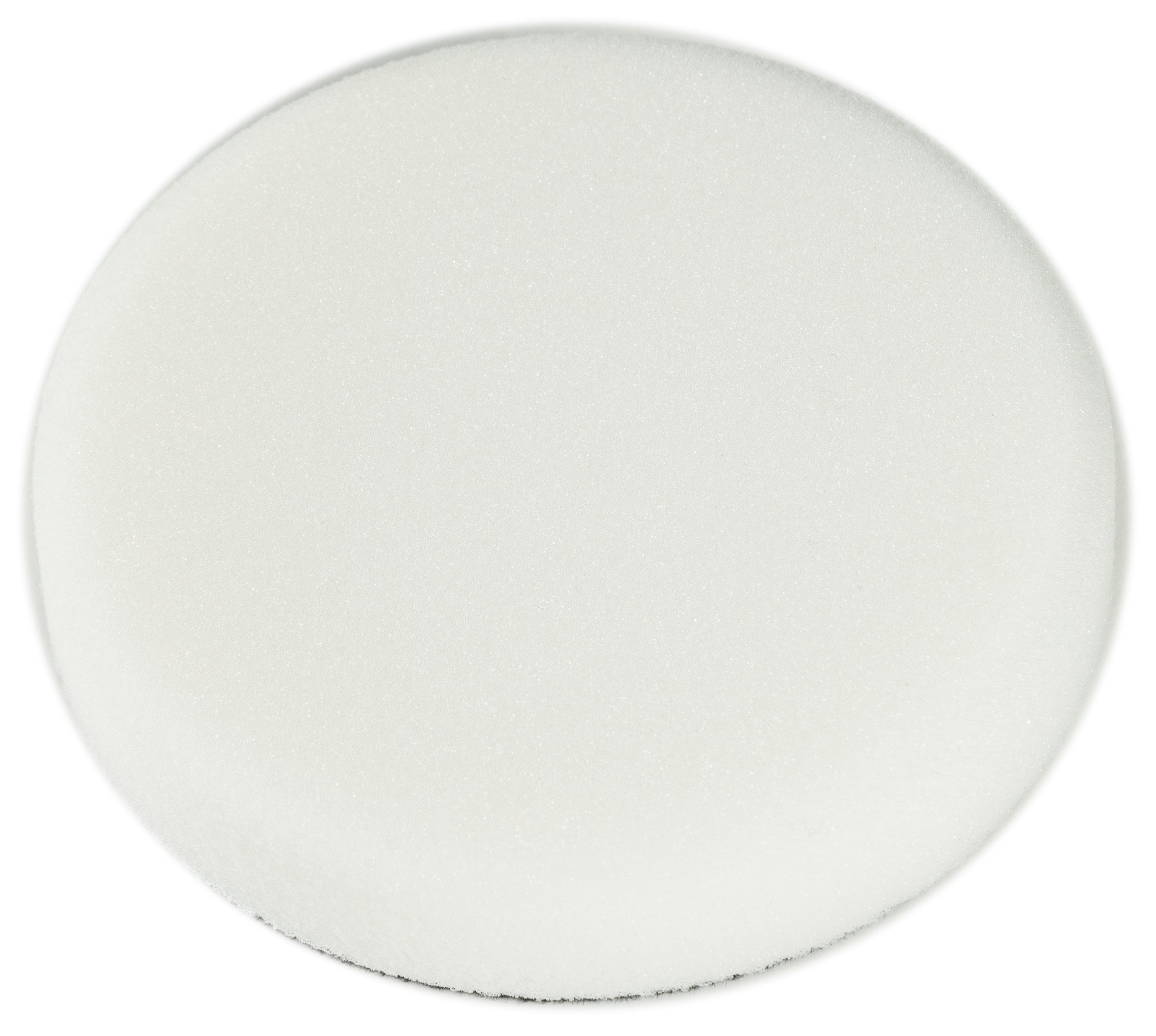 White Foam Applicator